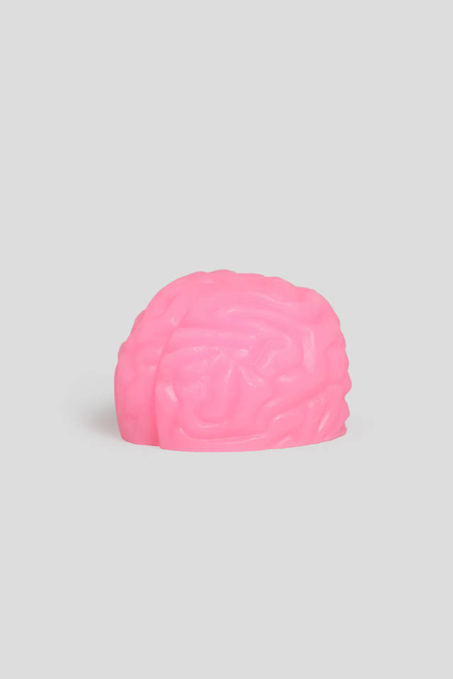 Brain Soap Object