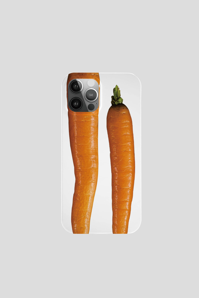 Carrot case